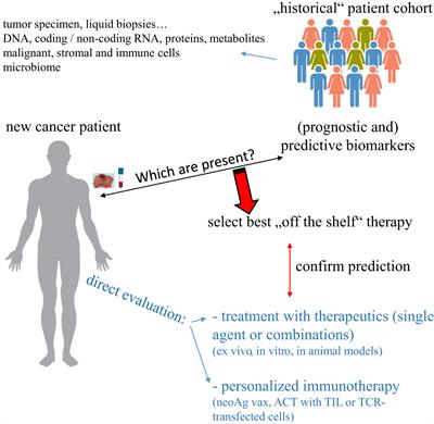 Combination of multiple omics techniques for a personalized therapy or treatment selection